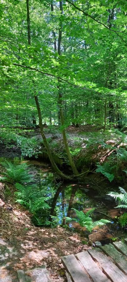 'T Hertje Ermelo Exteriör bild